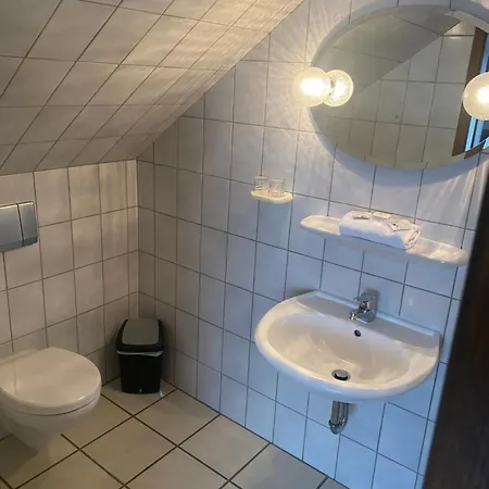 Penzion Gaestehaus Wildfein *